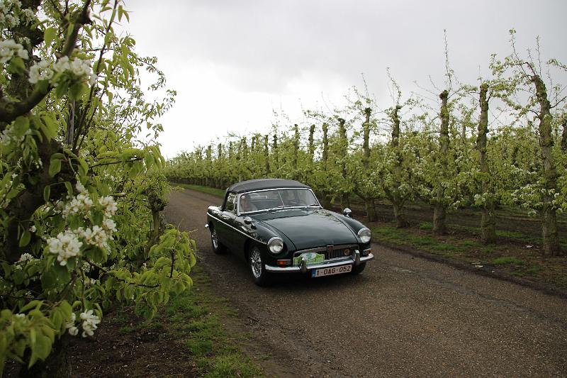 MG Bloesemrit op 24-4-2016 org. Jos&Marie-lou  (70).JPG